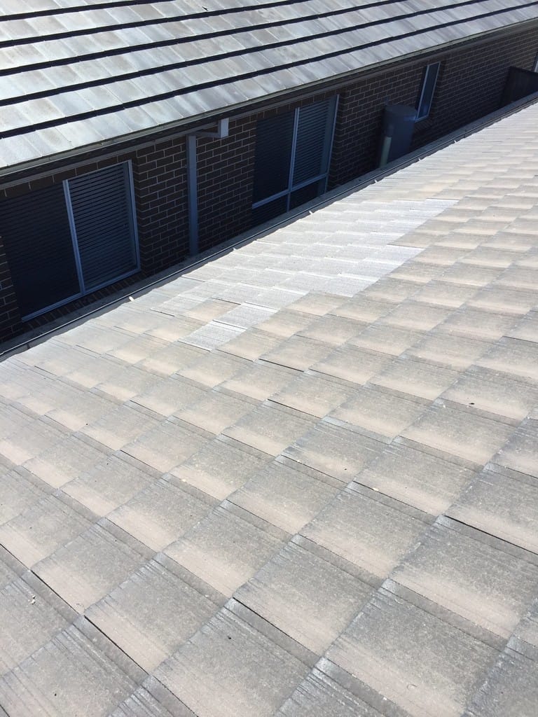 Insurance Roof Repairs at Ivy Roofing