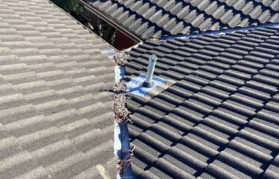 Metal & Tile Roof Repair and Maintenance image at Ivy Roofing contractor 4