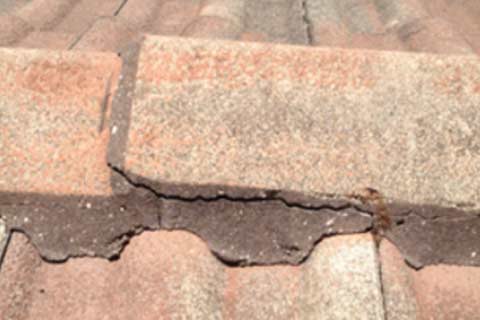Metal & Tile Roof Repair and Maintenance image at Ivy Roofing contractor