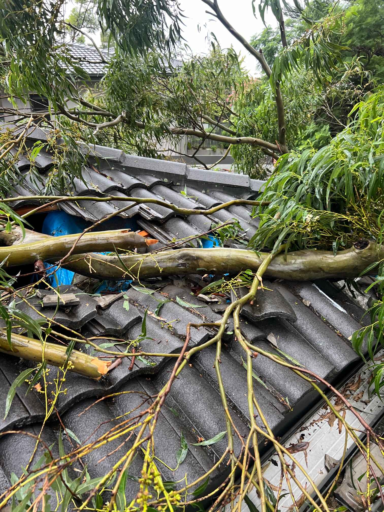 Residential Roofing Experts image near me 2