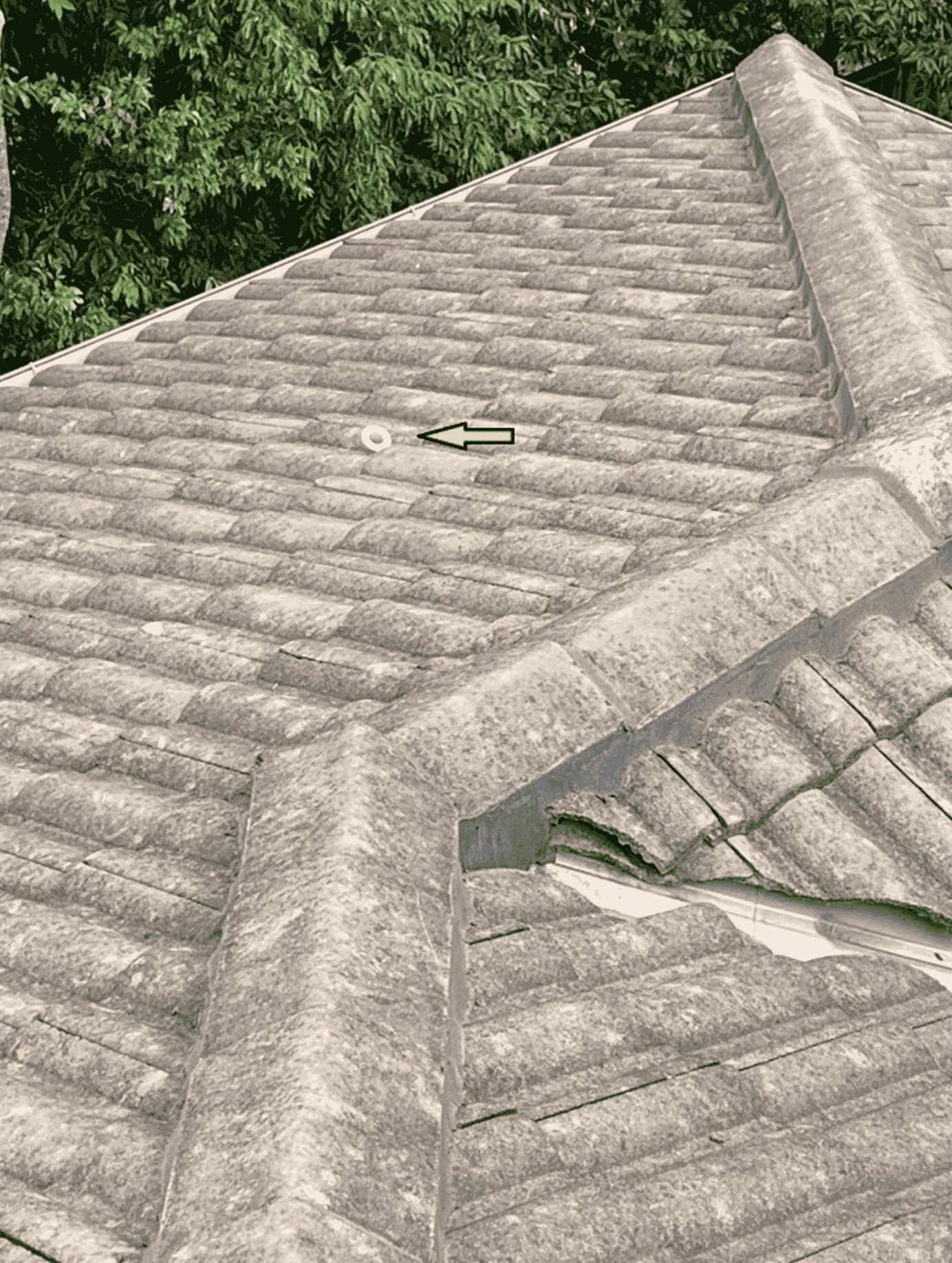 Roof Anchor Certification & Installation 3